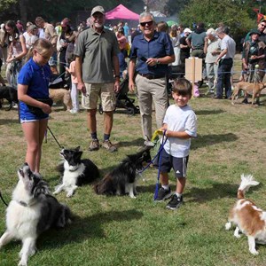 Goodworth Clatford Parish Council  Fete 2026 photos