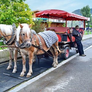 16. Austrian Buggy