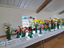 Bucklebury and Marlston Horticultural Society Autumn Show Report 2026