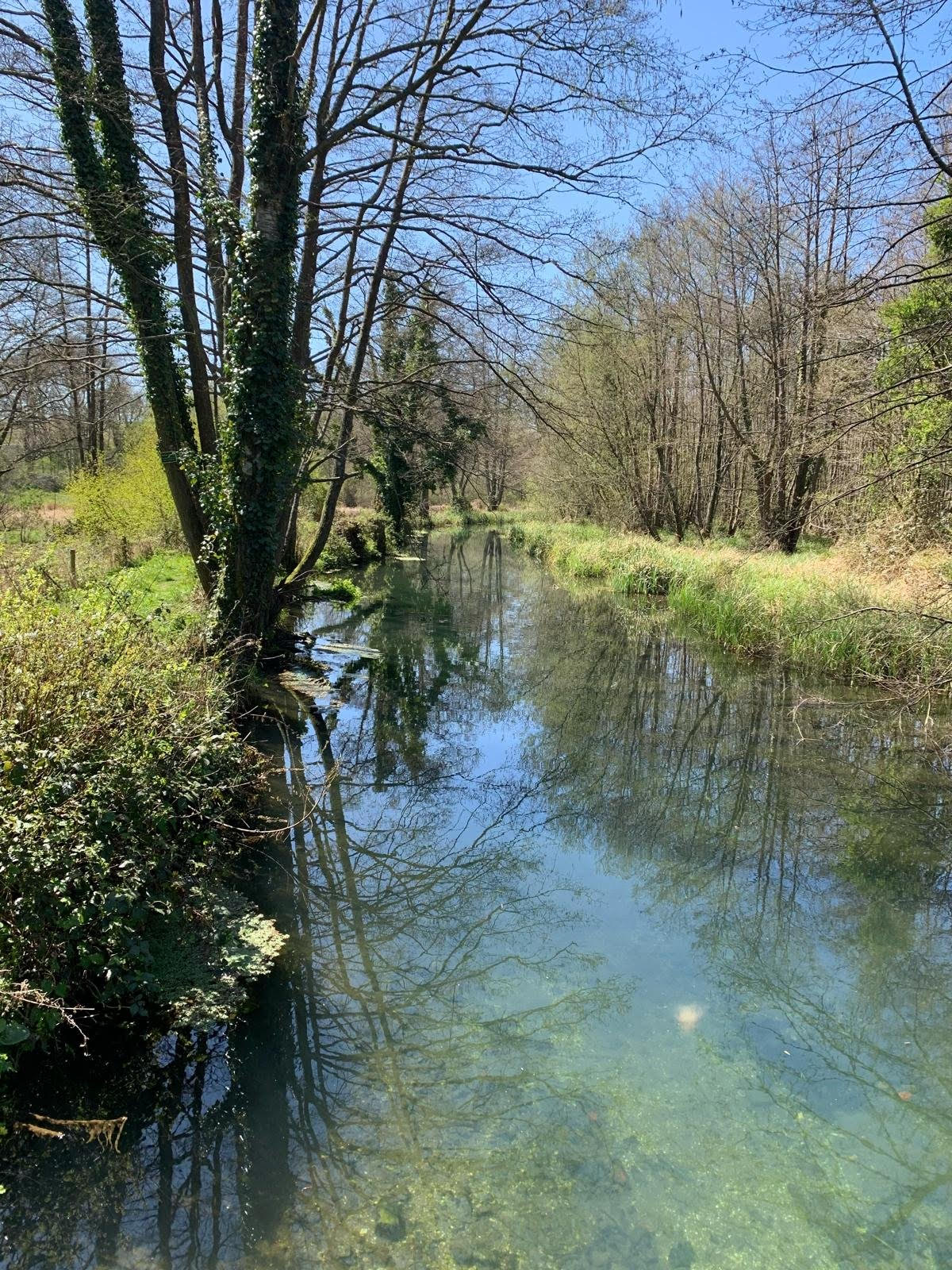 View of River Dun - East Dean