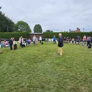 Whixall Social Centre Whixall Companion Dog Show 2024