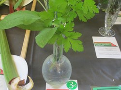 Margaret Harker Hall & Blofield Memorial Ground Blofield Gardening Club