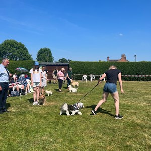 Whixall Social Centre Whixall Dog Show 2023 Report and Phots