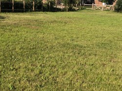 Hoo St Werburgh and Chattenden Parish Council Memorial Garden