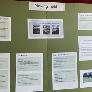 Playing Field