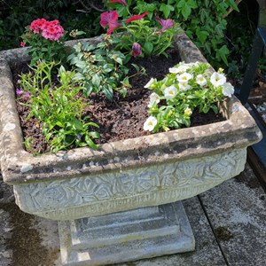 Castle Camps Bowls Club Castle Camps Open Gardens June 2026