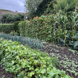 BETHERSDEN GARDENERS' SOCIETY Photo Gallery