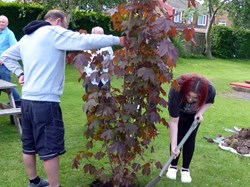 Smiths Dock Bowling Club Dave Little Memorial Tree 24/6