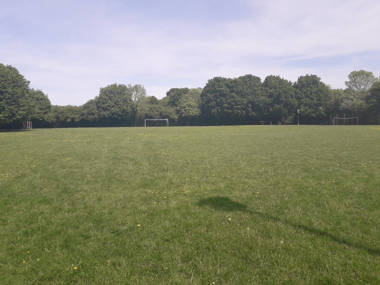 Recreation Ground Grass/Pitch