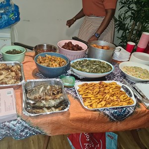 Association of North East Cameroonians November