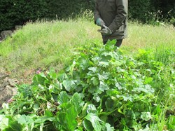 Back to work after lockdown 2