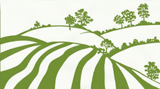 Chaddleworth Parish Council The Downland Practice
