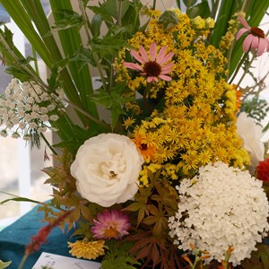 HBT Horticultural Society Photographs 2026
