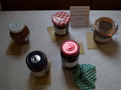 2016 Flower and Produce Show