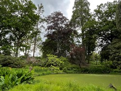 Bucklebury History Group The Dell - Carbinswood Lane