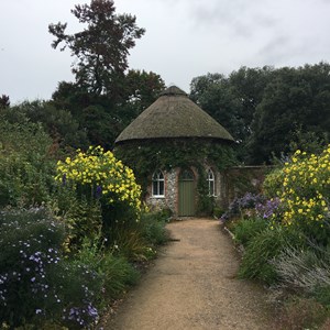 The Garden Shed Gallery