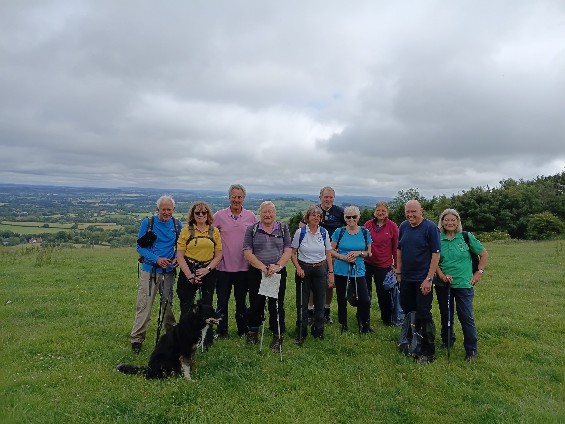 Mileaters above Blackmore Vale.