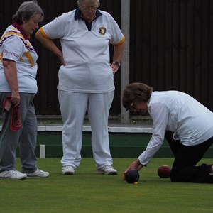 Aldiss Park Bowls Club Singles and others