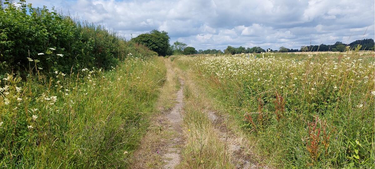 Hatfield Broad Oak Parish Council Meeting Details