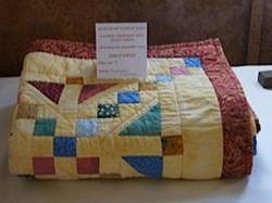 2014 Flower and Produce Show