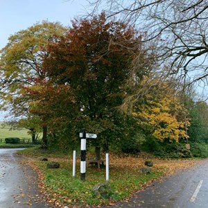 Homington Village (Michelle King)