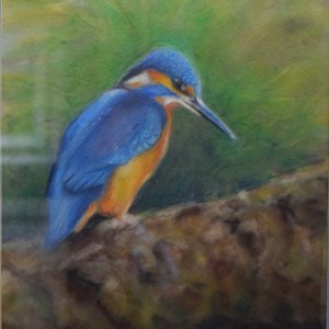 Kingfisher, pastel by Mel Thomas