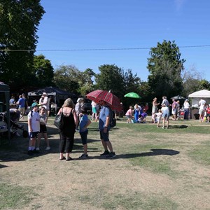 Goodworth Clatford Parish Council  Flower Show  2025 photographs.