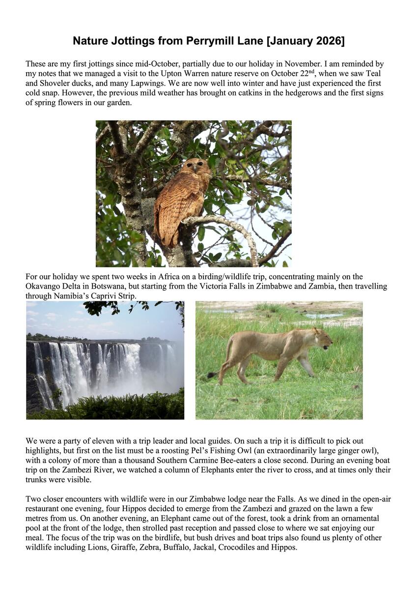 Sambourne Parish Council Wildlife sightings in Sambourne Parish