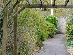 Evercreech Parish Council Home