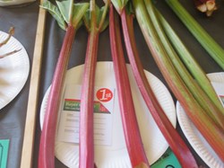 Margaret Harker Hall & Blofield Memorial Ground Blofield Gardening Club