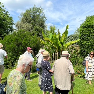 BETHERSDEN GARDENERS' SOCIETY Photo Gallery