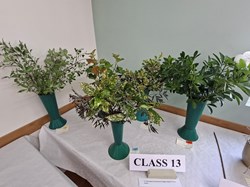 Bucklebury and Marlston Horticultural Society Summer Show 2026