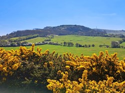 Godshill Matters Home
