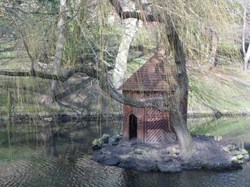 The New Duck House