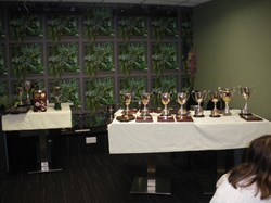 Glenfield Bowling Club Presentation Day Lunch 2024