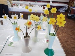 Sutton Valence Gardeners Association The Annual Shows