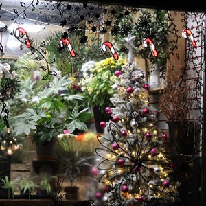 Snodland Town Council Lantern Parade & Light Switch on