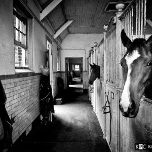 Racing Stables, Kingsclere