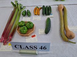 Bucklebury and Marlston Horticultural Society Autumn Show Report 2026