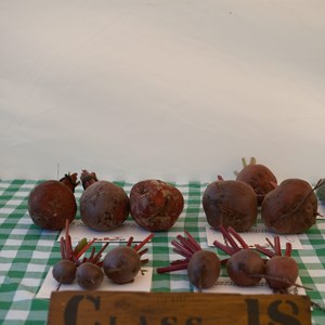HBT Horticultural Society Photographs 2026