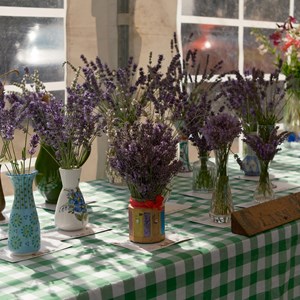 HBT Horticultural Society Photographs 2026