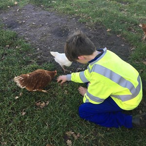 Red George Rural Skills Project Gallery