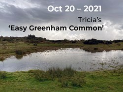Tricia’s ‘Easy Greenham Common’.