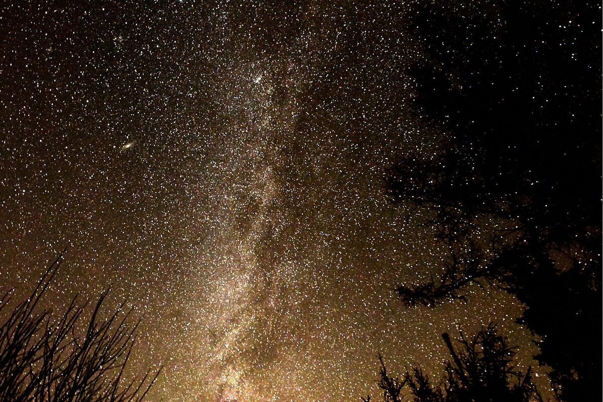 Falstone lies within Europe's largest Dark Sky Park. (taken in Yarrow, January 2025)