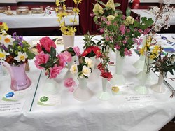 Sutton Valence Gardeners Association The Annual Shows