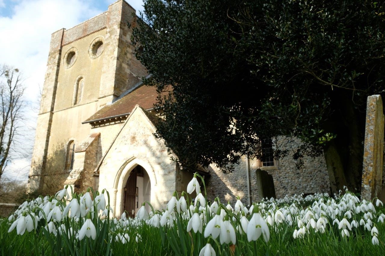 Snowdrops in the Church grounds at Warnford