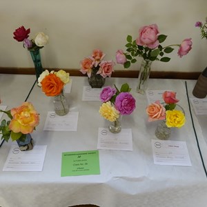 BETHERSDEN GARDENERS' SOCIETY Photo Gallery