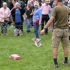 Goodworth Clatford Parish Council Village Fete/Garden Show