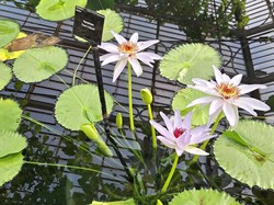 Probus Shelley Visits 2025