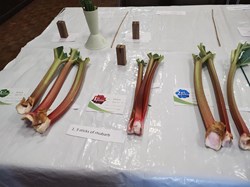 Sutton Valence Gardeners Association The Annual Shows